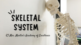 The Skeletal System (Presentation)
