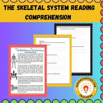 Preview of Human Body Systems : Skeletal System Reading Comprehension