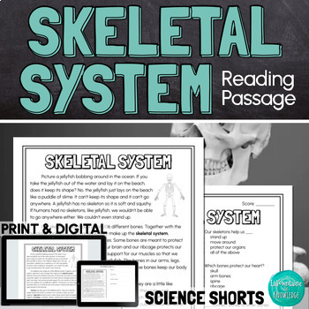 Preview of The Skeletal System Reading Comprehension Passage PRINT and DIGITAL