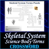 The Skeletal System Science Crossword Puzzle Activity Worksheet