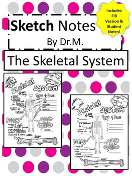 Preview of The Skeletal System Sketch Doodle Notes,Student Notes, incl FIB Version!