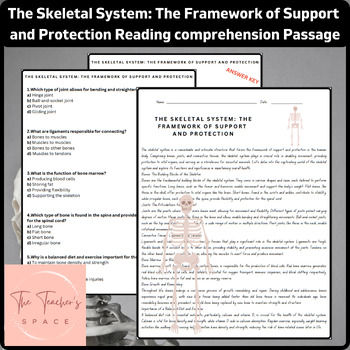 Preview of The Skeletal System: The Framework of Support and Protection Reading Comprehe...
