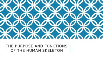 Preview of The Skeletal System: The Purpose and the Function of the Human Skeleton Slides