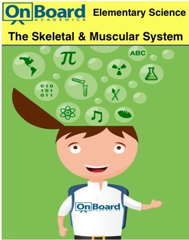 Preview of The Skeletal and Muscular Systems-Interactive Lesson