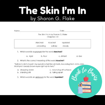 Preview of The Skin I'm In-Sharon G. Flake Reading Questions by Chapter