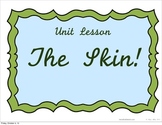 The Skin System Lesson - Powerpoint or Flipped Classroom Base