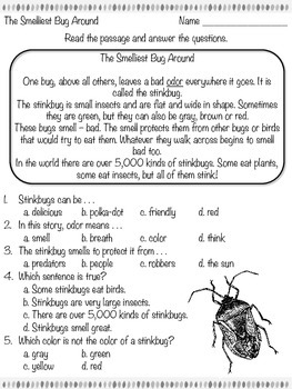 The Smelliest Bug Around - Reading Passage - Practice Worksheet | TPT