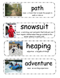 The Snowy Day by Ezra Jack Keats vocabulary cards