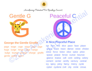 Preview of The Soft C and G-Gentle G and the Peaceful C Graphic Organizer