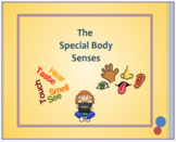 The Special Body Senses