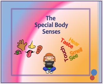 Preview of The Special Body Senses