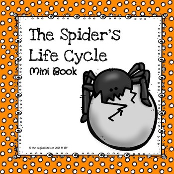 Preview of Sequencing: The Spider Life Cycle Mini Book