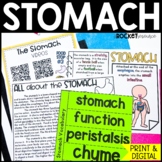The Stomach | Digestion | Human body Organs