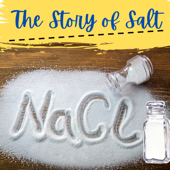 Preview of The Story of Salt by Kurlansky History and Science Lesson 