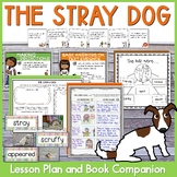 Stray Teaching Resources | TPT