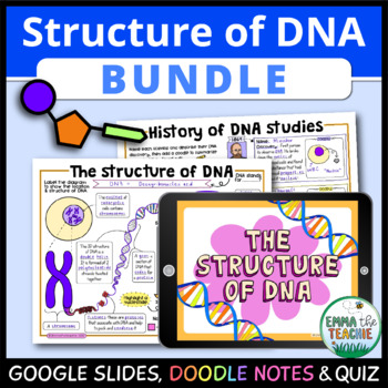 Preview of DNA Replication Lesson - Digital Activities, Doodle Notes Review, and Quiz