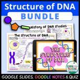 DNA Replication Lesson - Digital Activities, Doodle Notes 
