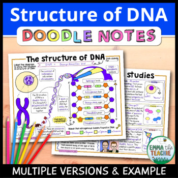 Preview of Structure of DNA Doodle Notes - Nucleotides, Base Pairs, DNA Studies - Review