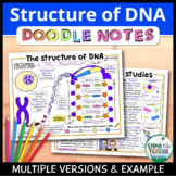 Structure of DNA Doodle Notes - Nucleotides, Base Pairs, D