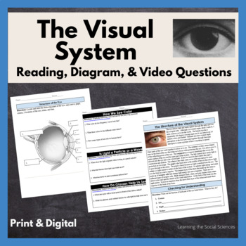 Preview of The Visual System Reading & Diagram: Print & Digital