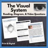 The Visual System Reading & Diagram: Print & Digital