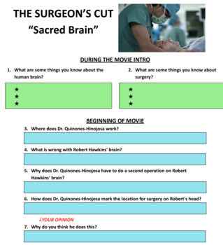 Preview of The Surgeon's Cut: "Sacred Brain" Netflix documentary worksheet - Nervous system