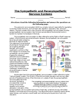 Preview of The Sympathetic & Parasympathetic Nervous Systems: Text, Images, & Questions