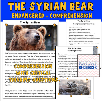 Preview of The Syrian Bear - Endangered - comprehension and critical thinking skills