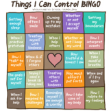 The Things I Can Control BINGO Poster Fun Freebie