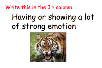 Preview of The Tiger Rising Vocabulary