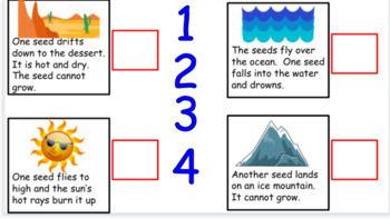 The Tiny Seed - Sequencing - Compare/Contrast - Google Classroom