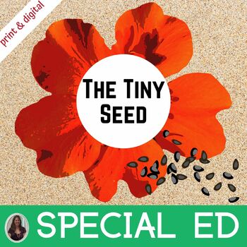 Preview of The Tiny Seed Spring Read Aloud for Special Education Spring Worksheets