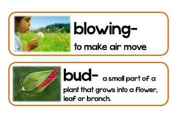 Preview of The Tiny Seed Vocabulary Cards