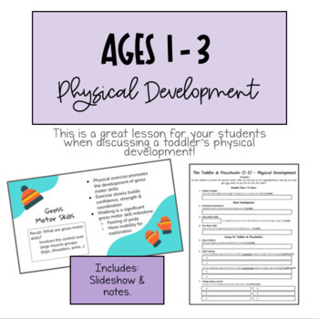 Preview of The Toddler & Preschooler (Ages 1-3) - Physical Development