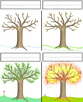 Preview of The Trees of Seasons