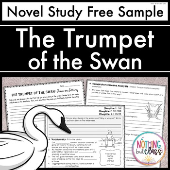 the black swan novel