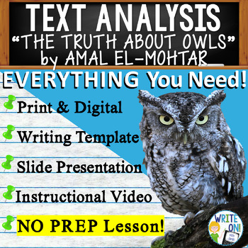 information about owl essay