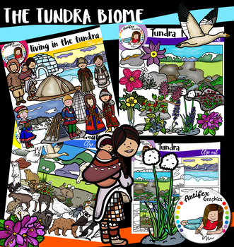Preview of The Tundra Biome- 106 items!