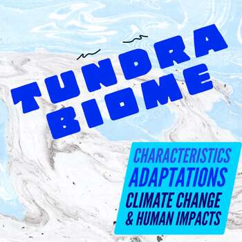 Preview of Tundra Biome Worksheet: Characteristics, Adaptations, Climate & Human Impacts