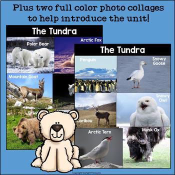 The Tundra Mini Book for Early Readers: Tundra Animals by Starlight ...