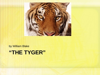 tiger tiger blake