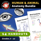 The ULTIMATE ANATOMY BUNDLE - Human & Animal Anatomy Works