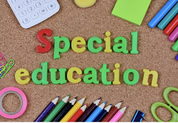 Preview of The Ultimate Guide to Navigating Special Education Process