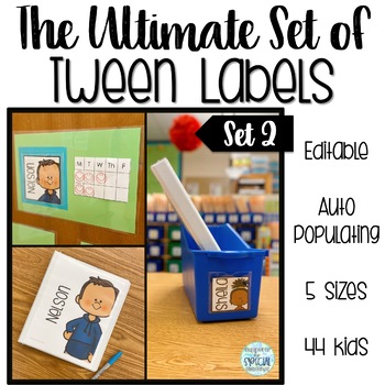 Preview of The Ultimate Set of Tween Labels Set 2 - Fits all Target labels!