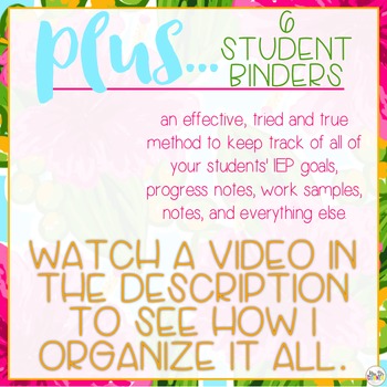 The Ultimate Special Education Binder - Lilly Inspired {editable} IEP ...