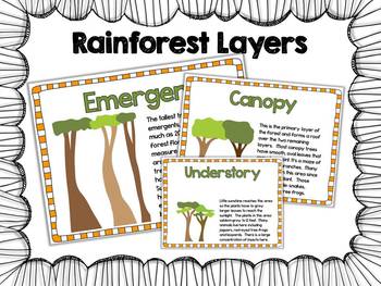 The Umbrella Book Companion {Literacy and Science} by Primary Graffiti