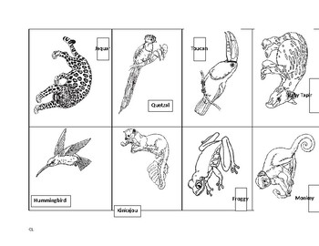 Preview of The Umbrella by Jan Brett Story Sequence