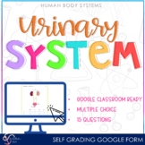 The Urinary System | GOOGLE FORMS
