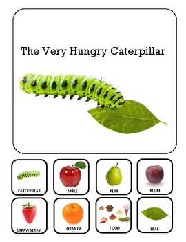 Preview of The Very Hungry Caterpillar Adapted Book with Days of the Week Signs