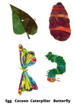 Preview of The Very Hungry Caterpillar Butterfly Lifecycle